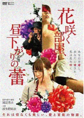 经典韩国爱情电影二十七度恋人海报